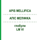 АПИС МЕЛЛИФИКА (APIS MELLIFICA) LM VI глобули 5 г - Гомеопатия DHU