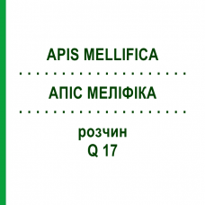 АПИС МЕЛЛИФИКА (APIS MELLIFICA) Q 17 раствор 15 мл - Гомеопатия GUDJONS