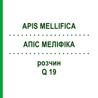 АПИС МЕЛЛИФИКА (APIS MELLIFICA) Q 19 раствор 15 мл - Гомеопатия GUDJONS