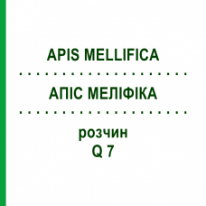 АПІС МЕЛІФІКА (APIS MELLIFICA) Q 7 розчин 15 мл - Гомеопатія GUDJONS
