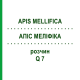 АПІС МЕЛІФІКА (APIS MELLIFICA) Q 7 розчин 15 мл - Гомеопатія GUDJONS