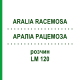 АРАЛИА РАЦЕМОЗА (ARALIA RACEMOSA) LM 120 раствор 10 мл - Гомеопатия ARCANA DR.SEWERIN