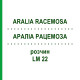 АРАЛИА РАЦЕМОЗА (ARALIA RACEMOSA) LM 22 раствор 10 мл - Гомеопатия ARCANA DR.SEWERIN