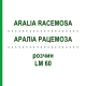 АРАЛИА РАЦЕМОЗА (ARALIA RACEMOSA) LM 60 раствор 10 мл - Гомеопатия ARCANA DR.SEWERIN