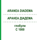 АРАНЕА ДІАДЕМА (ARANEA DIADEMA) C 1000 глобули 1,5 г - Гомеопатія GUDJONS