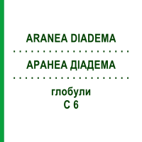 АРАНЕА ДІАДЕМА (ARANEA DIADEMA) C 6 глобули 1,5 г - Гомеопатія GUDJONS