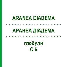 АРАНЕА ДІАДЕМА (ARANEA DIADEMA) C 6 глобули 1,5 г - Гомеопатія GUDJONS