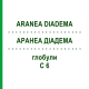 АРАНЕА ДІАДЕМА (ARANEA DIADEMA) C 6 глобули 1,5 г - Гомеопатія GUDJONS