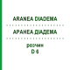 АРАНЕА ДИАДЕМА (ARANEA DIADEMA) D 6 раствор 20 мл - Гомеопатия DHU