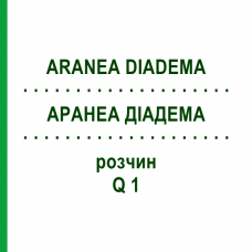 АРАНЕА ДІАДЕМА (ARANEA DIADEMA) Q 1 розчин 15 мл - Гомеопатія GUDJONS