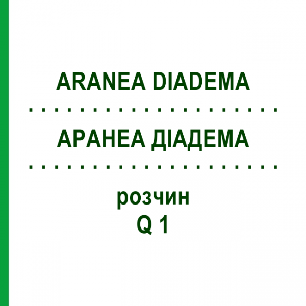 АРАНЕА ДІАДЕМА (ARANEA DIADEMA) Q 1 розчин 15 мл - Гомеопатія GUDJONS