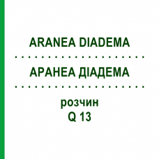 АРАНЕА ДІАДЕМА (ARANEA DIADEMA) Q 13 розчин 15 мл - Гомеопатія GUDJONS