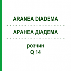 АРАНЕА ДІАДЕМА (ARANEA DIADEMA) Q 14 розчин 15 мл - Гомеопатія GUDJONS