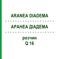 АРАНЕА ДИАДЕМА (ARANEA DIADEMA) Q 16 раствор 15 мл - Гомеопатия GUDJONS