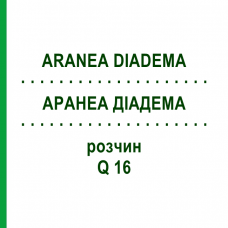 АРАНЕА ДІАДЕМА (ARANEA DIADEMA) Q 16 розчин 15 мл - Гомеопатія GUDJONS