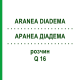 АРАНЕА ДІАДЕМА (ARANEA DIADEMA) Q 16 розчин 15 мл - Гомеопатія GUDJONS