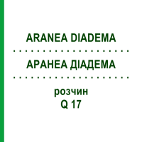 АРАНЕА ДІАДЕМА (ARANEA DIADEMA) Q 17 розчин 15 мл - Гомеопатія GUDJONS