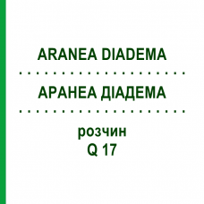 АРАНЕА ДІАДЕМА (ARANEA DIADEMA) Q 17 розчин 15 мл - Гомеопатія GUDJONS