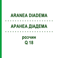 АРАНЕА ДІАДЕМА (ARANEA DIADEMA) Q 18 розчин 15 мл - Гомеопатія GUDJONS
