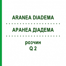 АРАНЕА ДІАДЕМА (ARANEA DIADEMA) Q 2 розчин 15 мл - Гомеопатія GUDJONS