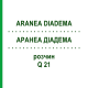 АРАНЕА ДІАДЕМА (ARANEA DIADEMA) Q 21 розчин 15 мл - Гомеопатія GUDJONS