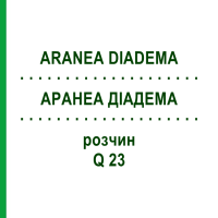 АРАНЕА ДИАДЕМА (ARANEA DIADEMA) Q 23 раствор 15 мл - Гомеопатия GUDJONS