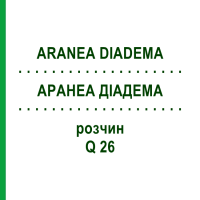 АРАНЕА ДИАДЕМА (ARANEA DIADEMA) Q 26 раствор 15 мл - Гомеопатия GUDJONS