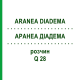 АРАНЕА ДІАДЕМА (ARANEA DIADEMA) Q 28 розчин 15 мл - Гомеопатія GUDJONS