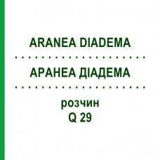 АРАНЕА ДІАДЕМА (ARANEA DIADEMA) Q 29 розчин 15 мл - Гомеопатія GUDJONS