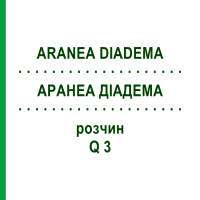АРАНЕА ДІАДЕМА (ARANEA DIADEMA) Q 3 розчин 15 мл - Гомеопатія GUDJONS