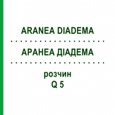 АРАНЕА ДІАДЕМА (ARANEA DIADEMA) Q 5 розчин 15 мл - Гомеопатія GUDJONS