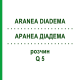 АРАНЕА ДІАДЕМА (ARANEA DIADEMA) Q 5 розчин 15 мл - Гомеопатія GUDJONS