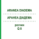 АРАНЕА ДІАДЕМА (ARANEA DIADEMA) Q 8 розчин 15 мл - Гомеопатія GUDJONS