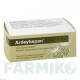 АРДЕЙГЕПАН (ARDEYHEPAN) таблетки 100 шт - Плоды расторопши пятнистой ARDEYPHARM