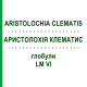 АРИСТОЛОХИЯ КЛЕМАТИС (ARISTOLOCHIA CLEMATIS) LM VI глобули 5 г - Гомеопатия DHU