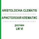 АРИСТОЛОХИЯ КЛЕМАТИС (ARISTOLOCHIA CLEMATIS) LM VI раствор 10 мл - Гомеопатия DHU