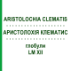 АРИСТОЛОХИЯ КЛЕМАТИС (ARISTOLOCHIA CLEMATIS) LM XII глобули 5 г - Гомеопатия DHU
