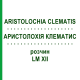 АРИСТОЛОХИЯ КЛЕМАТИС (ARISTOLOCHIA CLEMATIS) LM XII раствор 10 мл - Гомеопатия DHU