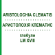 АРИСТОЛОХИЯ КЛЕМАТИС (ARISTOLOCHIA CLEMATIS) LM XVIII глобули 5 г - Гомеопатия DHU