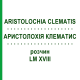 АРИСТОЛОХИЯ КЛЕМАТИС (ARISTOLOCHIA CLEMATIS) LM XVIII раствор 10 мл - Гомеопатия DHU