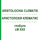 АРИСТОЛОХИЯ КЛЕМАТИС (ARISTOLOCHIA CLEMATIS) LM XXX глобули 5 г - Гомеопатия DHU