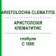 АРИСТОЛОХИЯ КЛЕМАТИТИС (ARISTOLOCHIA CLEMATITIS) C 1000 глобули 1,5 г - Гомеопатия GUDJONS