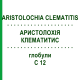 АРИСТОЛОХИЯ КЛЕМАТИТИС (ARISTOLOCHIA CLEMATITIS) C 12 глобули 1,5 г - Гомеопатия GUDJONS