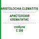 АРИСТОЛОХИЯ КЛЕМАТИТИС (ARISTOLOCHIA CLEMATITIS) C 200 глобули 0,5 г - Гомеопатия GUDJONS