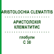 АРИСТОЛОХИЯ КЛЕМАТИТИС (ARISTOLOCHIA CLEMATITIS) C 30 глобули 1,5 г - Гомеопатия GUDJONS