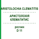 АРИСТОЛОХИЯ КЛЕМАТИТИС (ARISTOLOCHIA CLEMATITIS) D 11 раствор 50 мл - Гомеопатия DHU