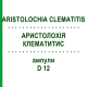 АРИСТОЛОХИЯ КЛЕМАТИТИС (ARISTOLOCHIA CLEMATITIS) D 12 ампулы 8x1 мл - Гомеопатия DHU