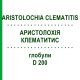 АРИСТОЛОХИЯ КЛЕМАТИТИС (ARISTOLOCHIA CLEMATITIS) D 200 глобули 10 г - Гомеопатия DHU