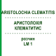 АРИСТОЛОХИЯ КЛЕМАТИТИС (ARISTOLOCHIA CLEMATITIS) LM 1 раствор 10 мл - Гомеопатия ARCANA DR.SEWERIN