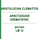 АРИСТОЛОХИЯ КЛЕМАТИТИС (ARISTOLOCHIA CLEMATITIS) LM 12 раствор 10 мл - Гомеопатия ARCANA DR.SEWERIN